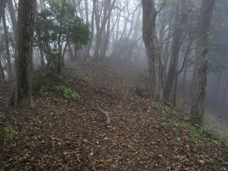 20151021hike (213)